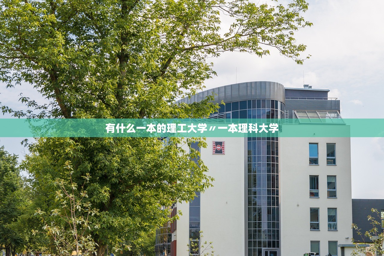 有什么一本的理工大学〃一本理科大学 有什么一本的理工大学〃一本理科大学