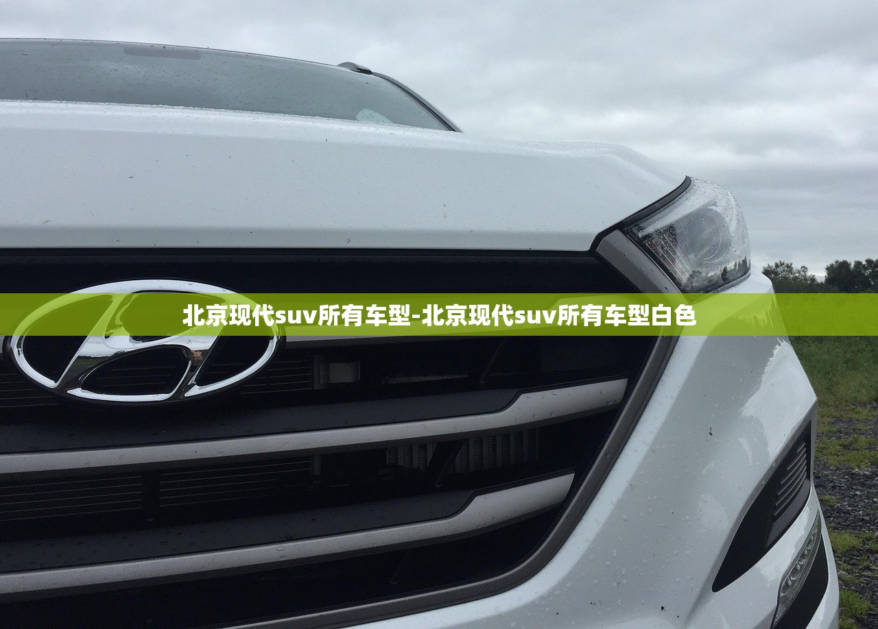 北京现代suv所有车型-北京现代suv所有车型白色 北京现代suv所有车型-北京现代suv所有车型白色