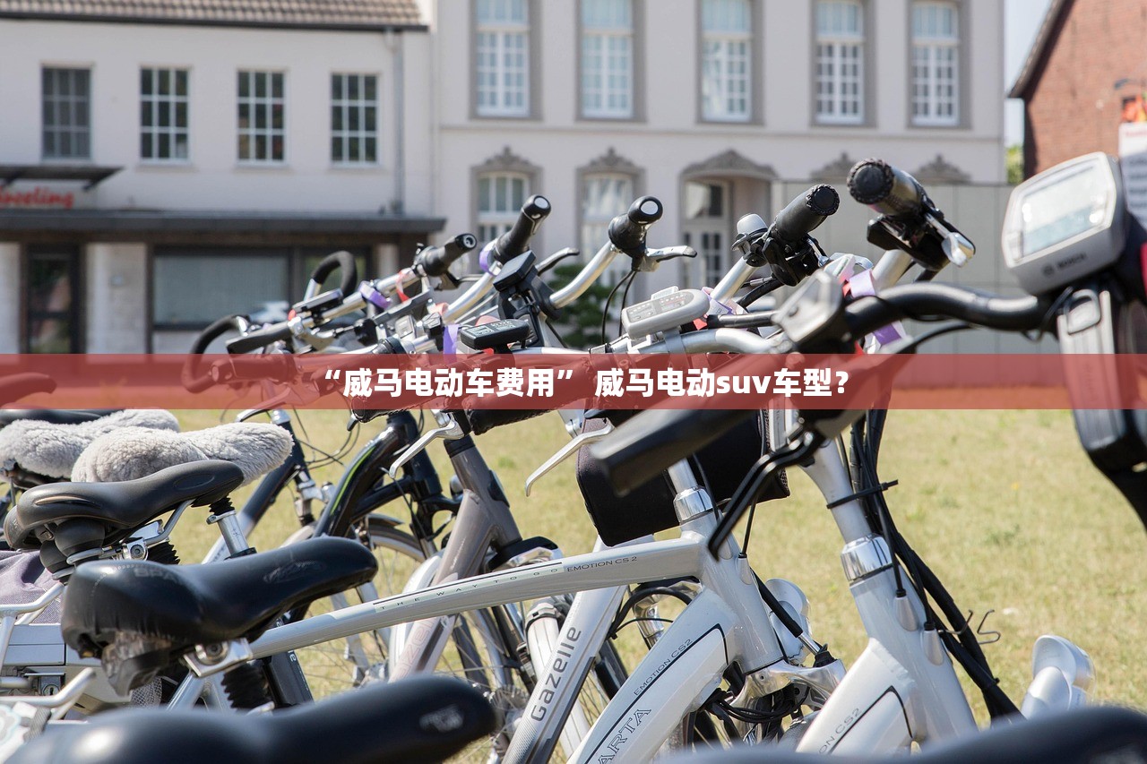 “威马电动车费用” 威马电动suv车型？