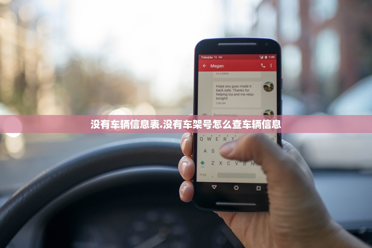 没有车辆信息表.没有车架号怎么查车辆信息 没有车辆信息表.没有车架号怎么查车辆信息
