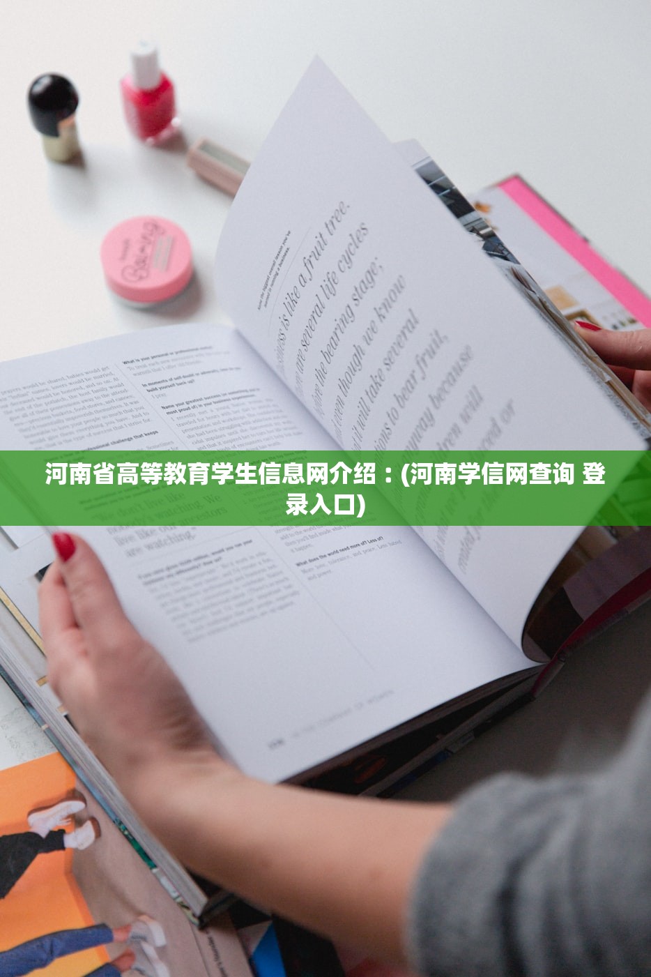 河南省高等教育学生信息网介绍︰(河南学信网查询 登录入口) 河南省高等教育学生信息网介绍︰(河南学信网查询 登录入口)
