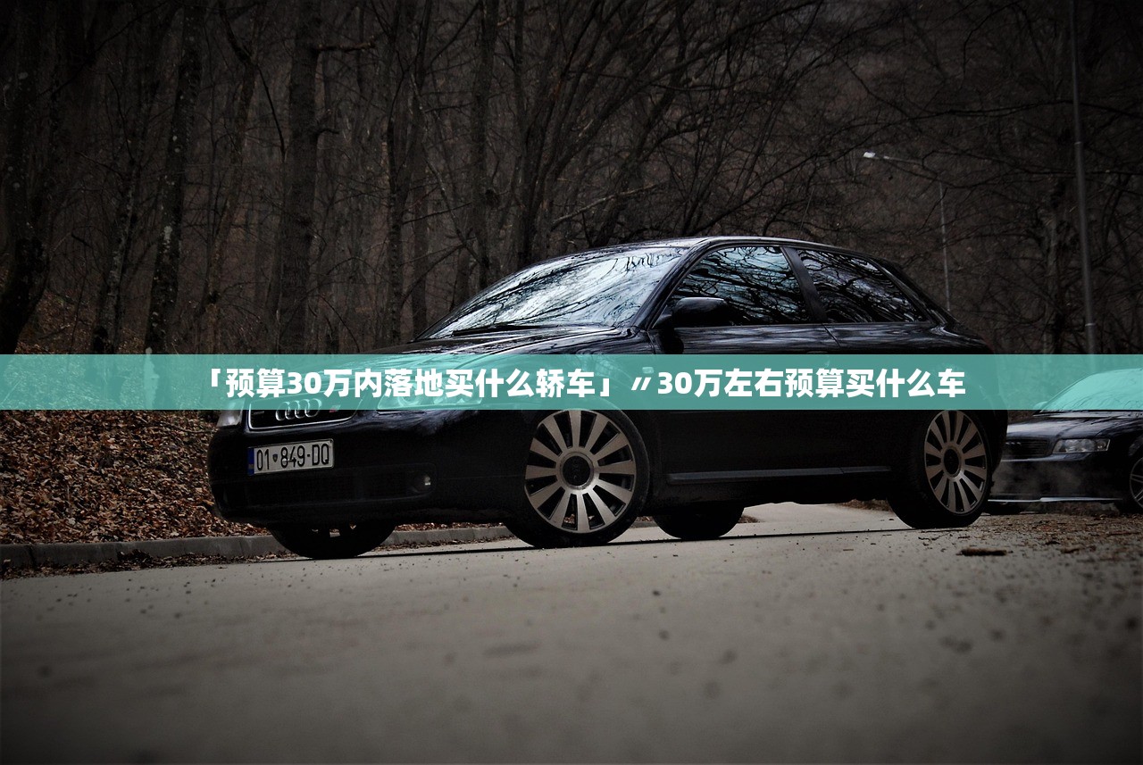 「预算30万内落地买什么轿车」〃30万左右预算买什么车 「预算30万内落地买什么轿车」〃30万左右预算买什么车
