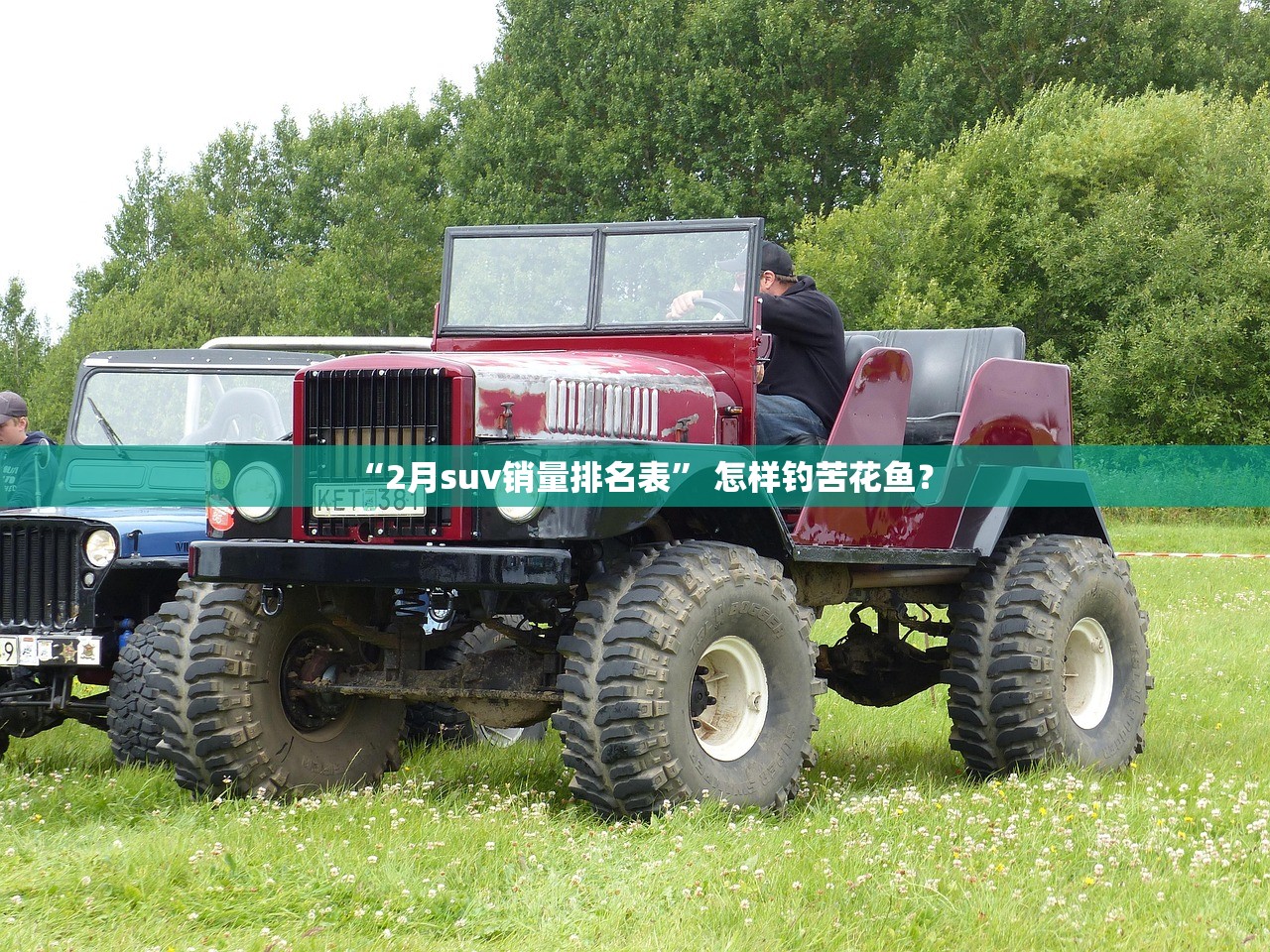 “2月suv销量排名表” 怎样钓苦花鱼？