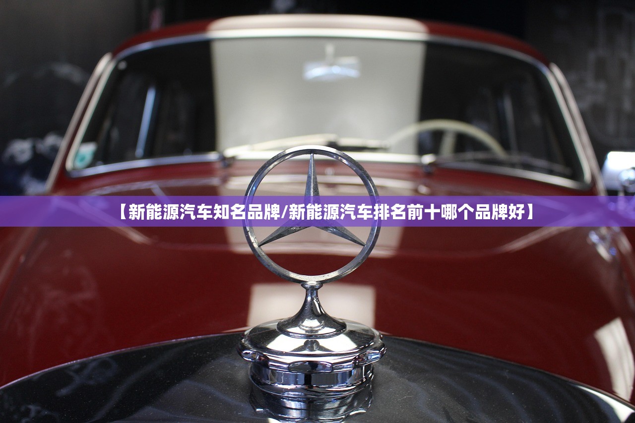 【新能源汽车知名品牌/新能源汽车排名前十哪个品牌好】 【新能源汽车知名品牌/新能源汽车排名前十哪个品牌好】