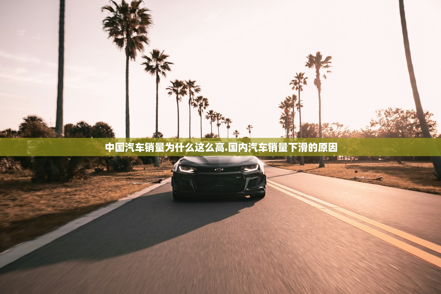 中国汽车销量为什么这么高.国内汽车销量下滑的原因