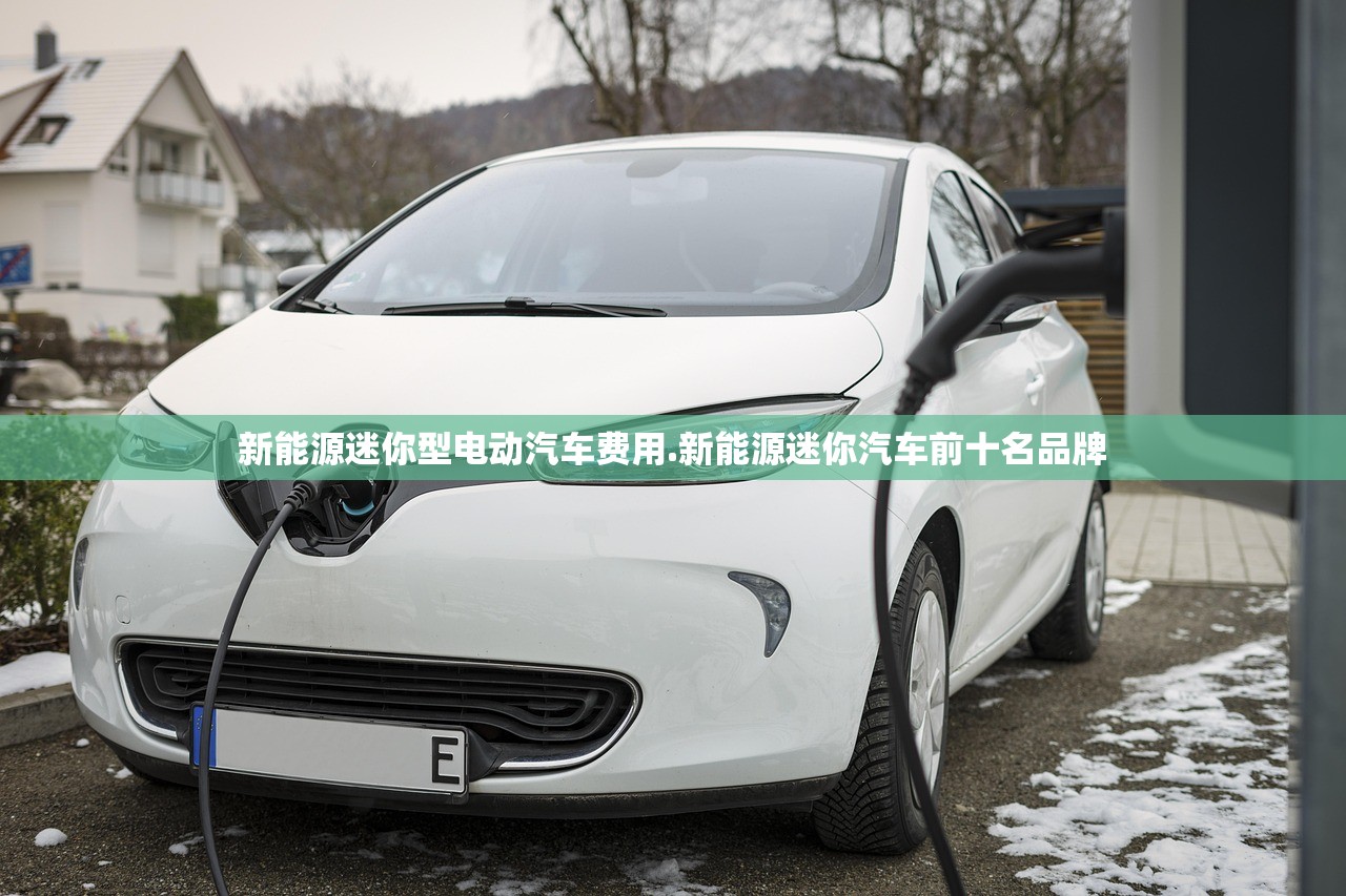 新能源迷你型电动汽车费用.新能源迷你汽车前十名品牌