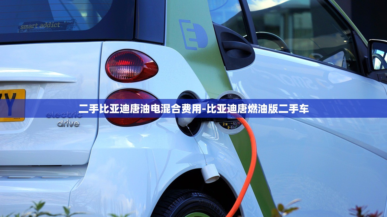 二手比亚迪唐油电混合费用-比亚迪唐燃油版二手车 二手比亚迪唐油电混合费用-比亚迪唐燃油版二手车