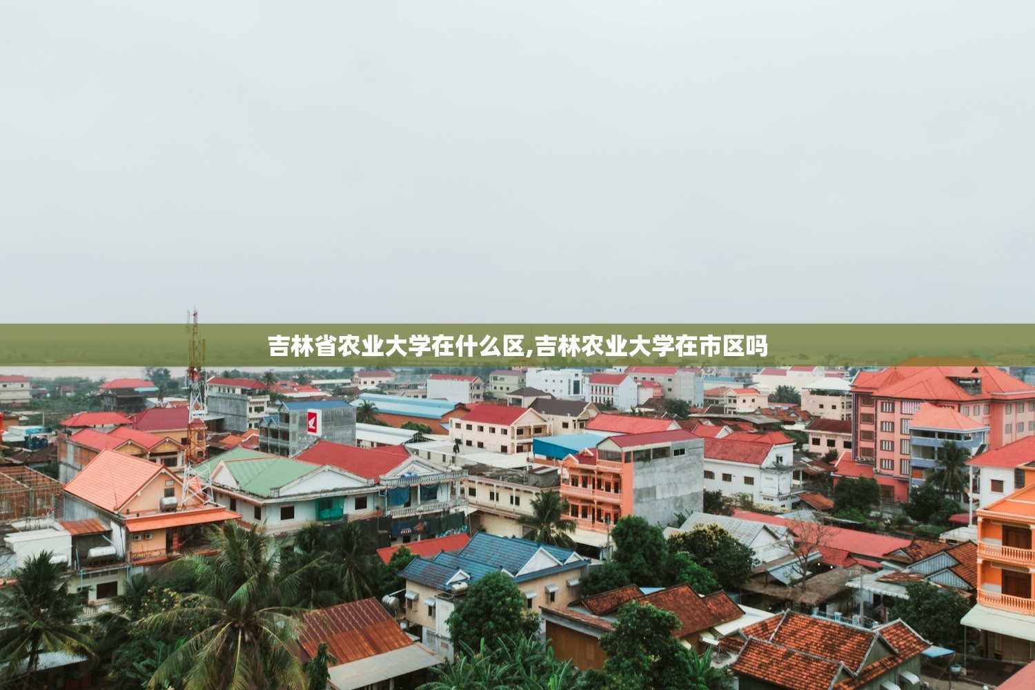 吉林省农业大学在什么区,吉林农业大学在市区吗 吉林省农业大学在什么区,吉林农业大学在市区吗