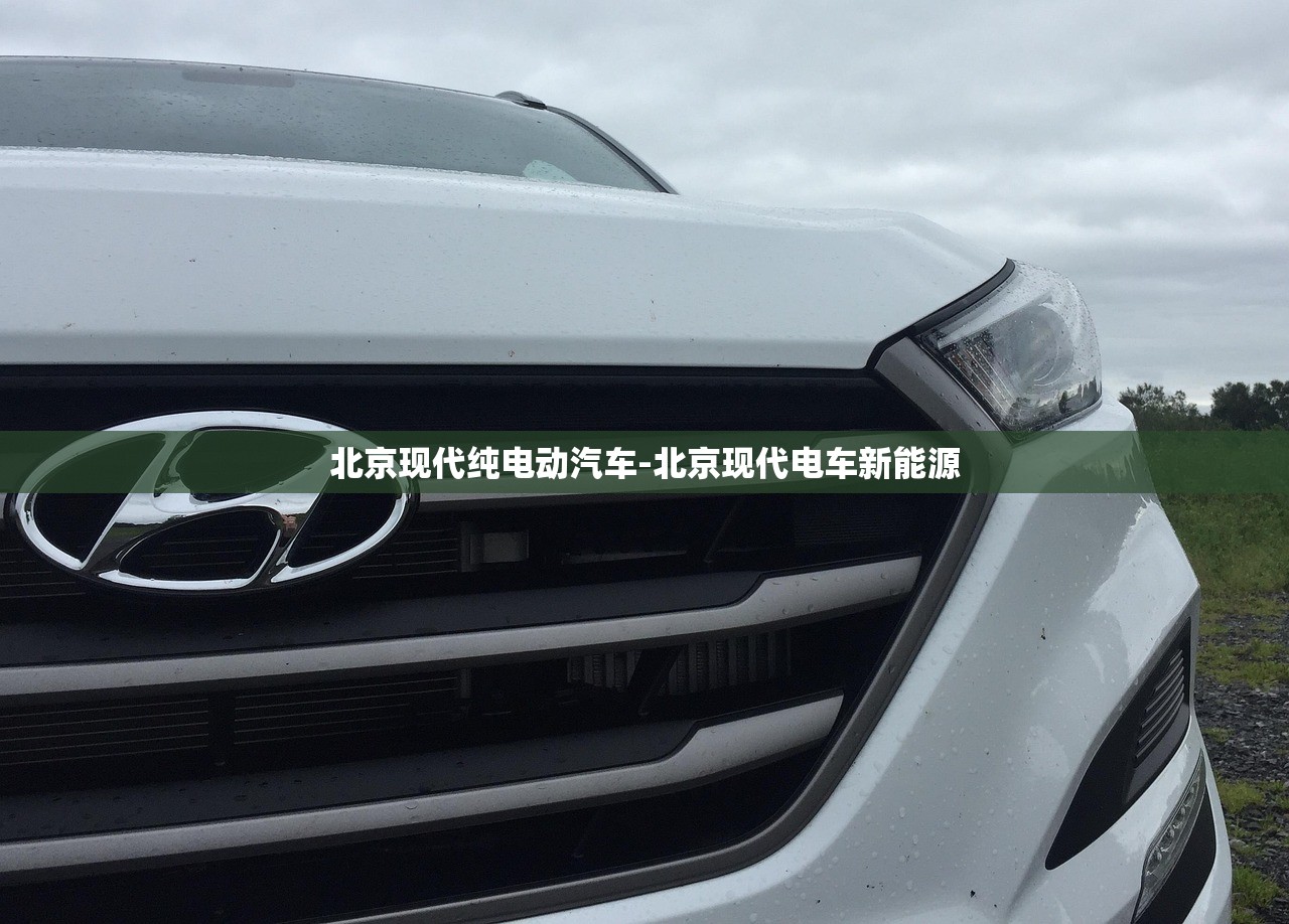 北京现代纯电动汽车-北京现代电车新能源 北京现代纯电动汽车-北京现代电车新能源