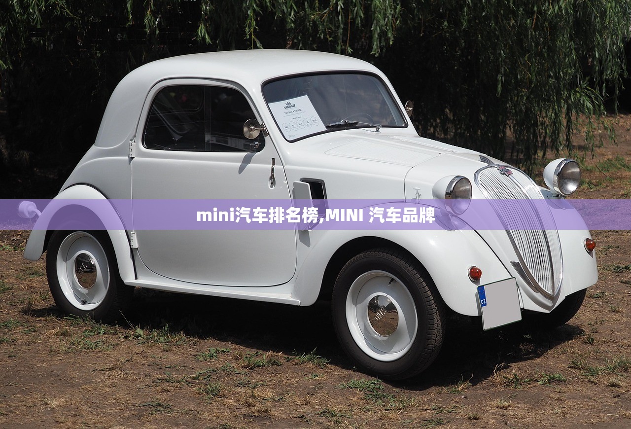 mini汽车排名榜,MINI 汽车品牌 mini汽车排名榜,MINI 汽车品牌