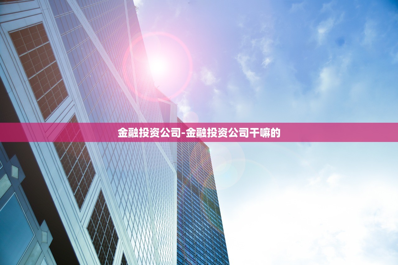 金融投资公司-金融投资公司干嘛的