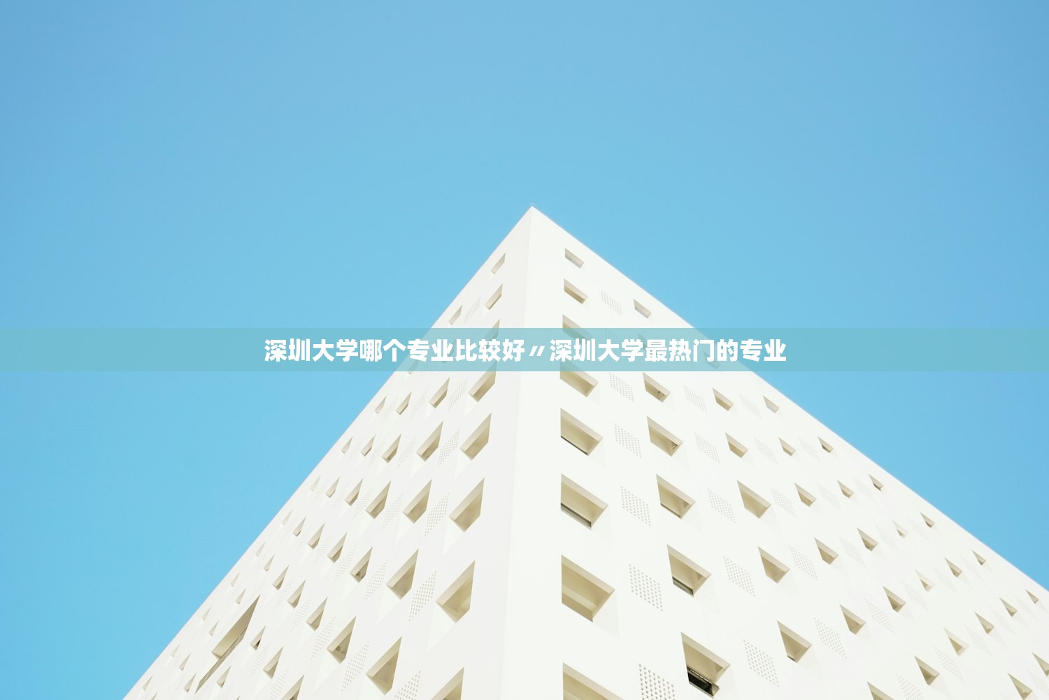 深圳大学哪个专业比较好〃深圳大学最热门的专业