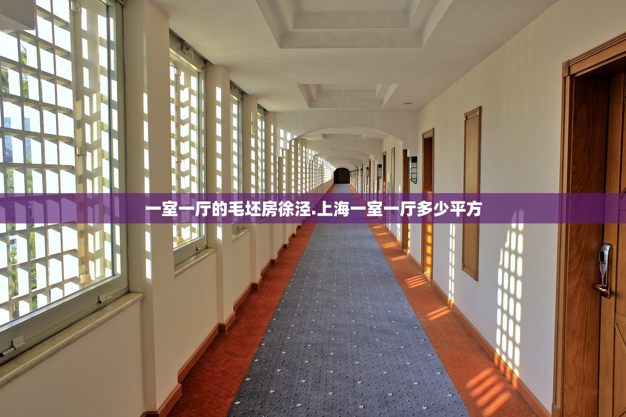 一室一厅的毛坯房徐泾.上海一室一厅多少平方
