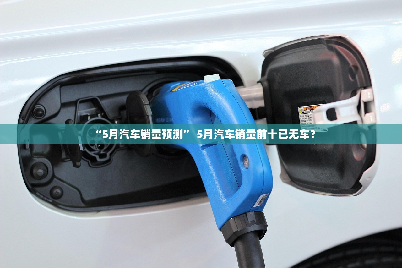 “5月汽车销量预测” 5月汽车销量前十已无车？