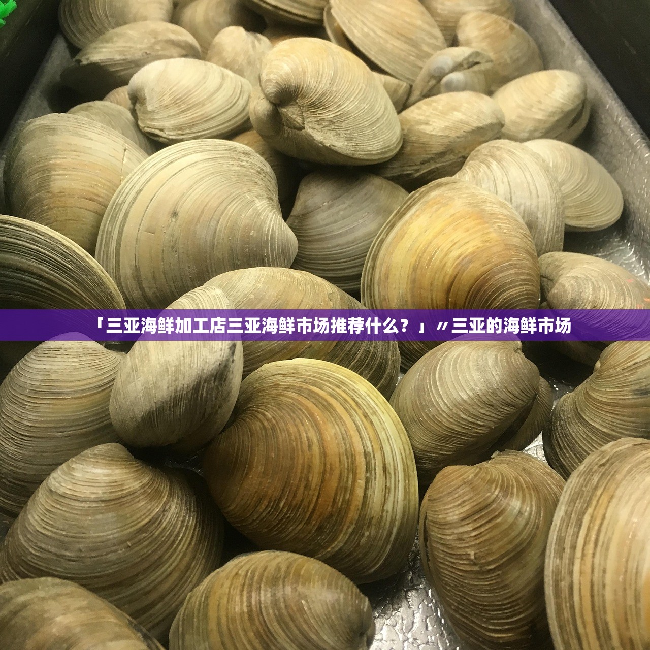 「三亚海鲜加工店三亚海鲜市场推荐什么?」〃三亚的海鲜市场 「三亚海鲜加工店三亚海鲜市场推荐什么?」〃三亚的海鲜市场