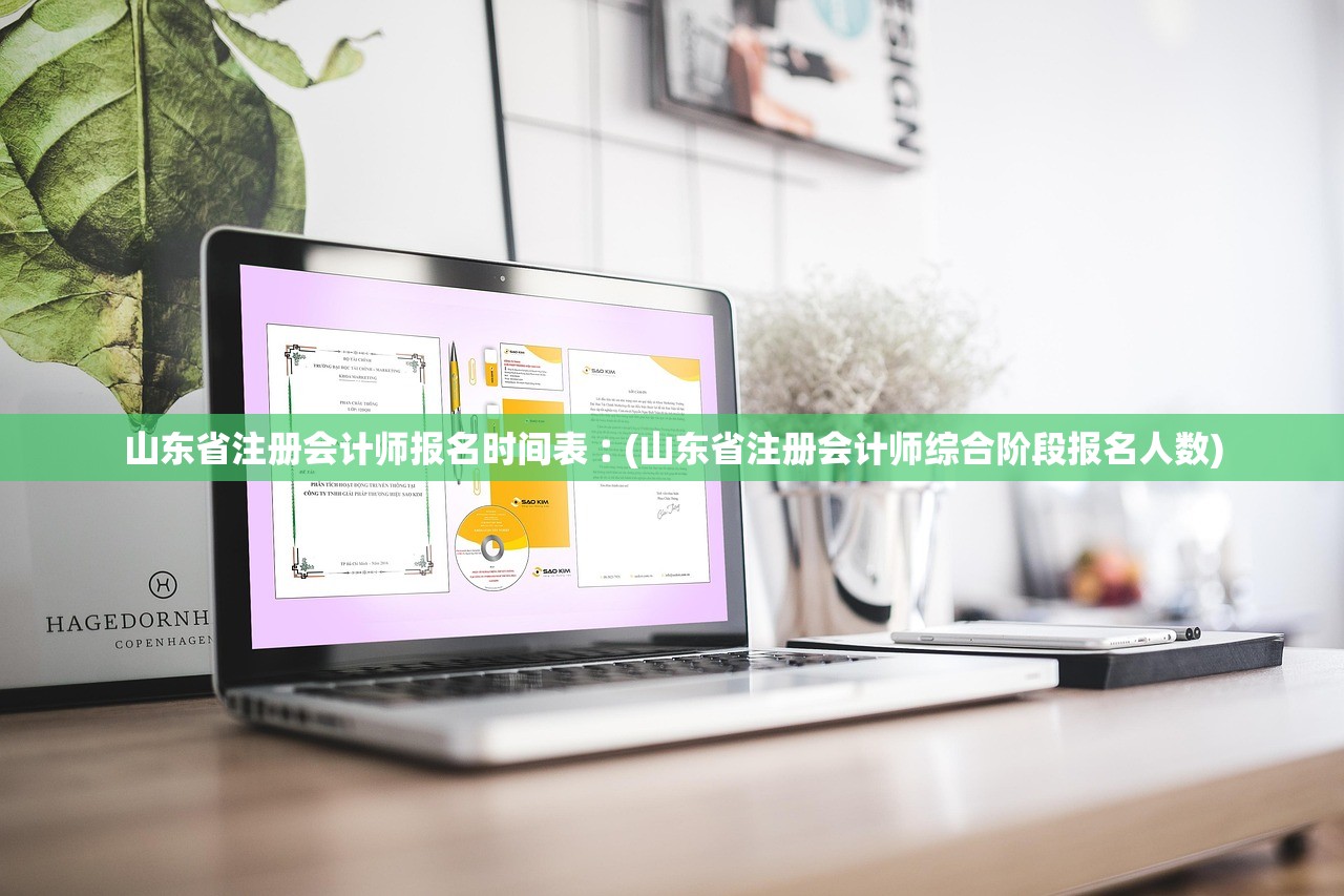 山东省注册会计师报名时间表︰(山东省注册会计师综合阶段报名人数)