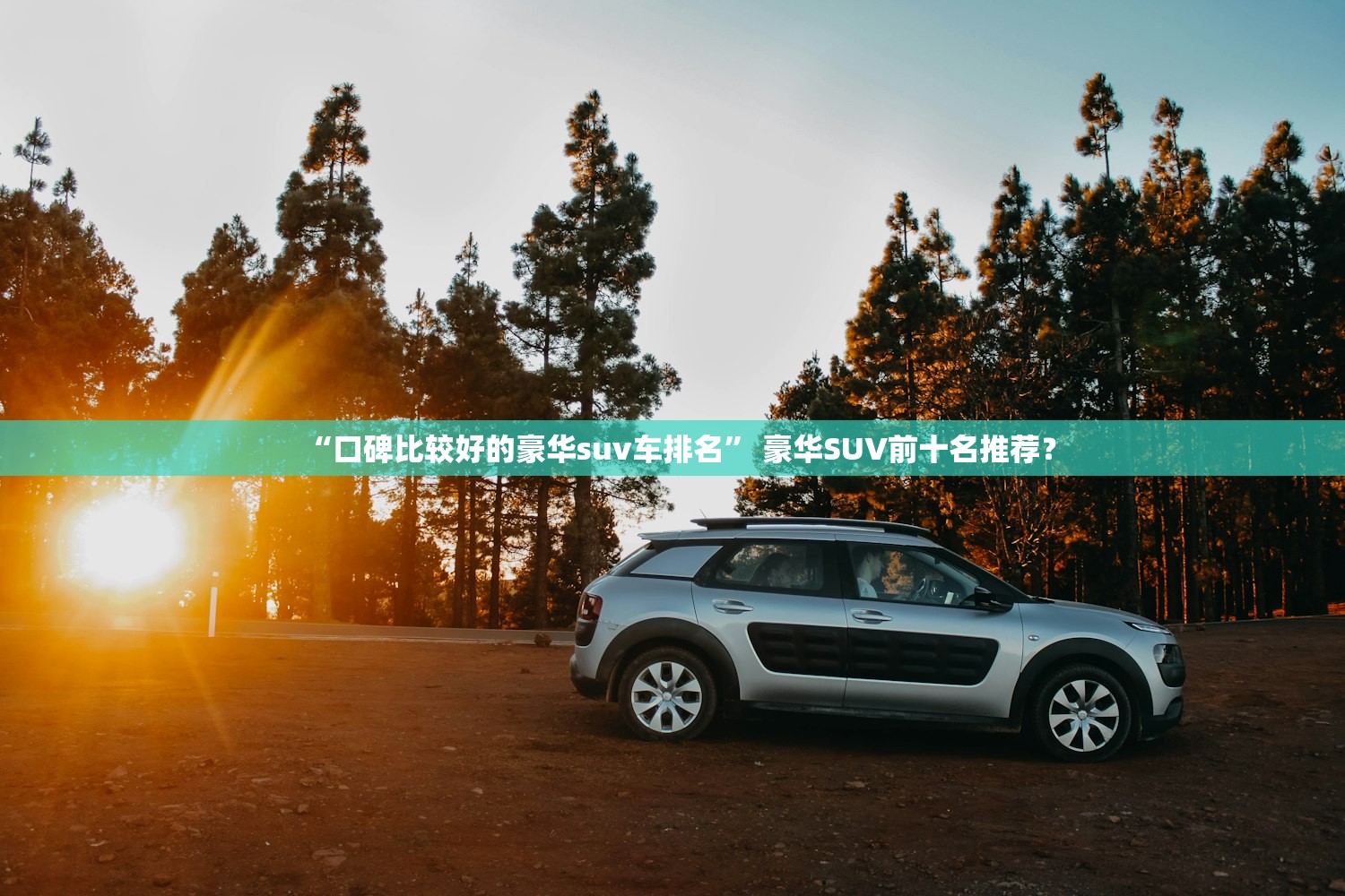 “口碑比较好的豪华suv车排名” 豪华SUV前十名推荐？