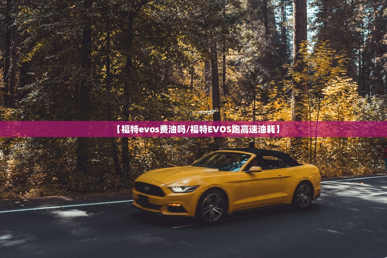 【福特evos费油吗/福特EVOS跑高速油耗】