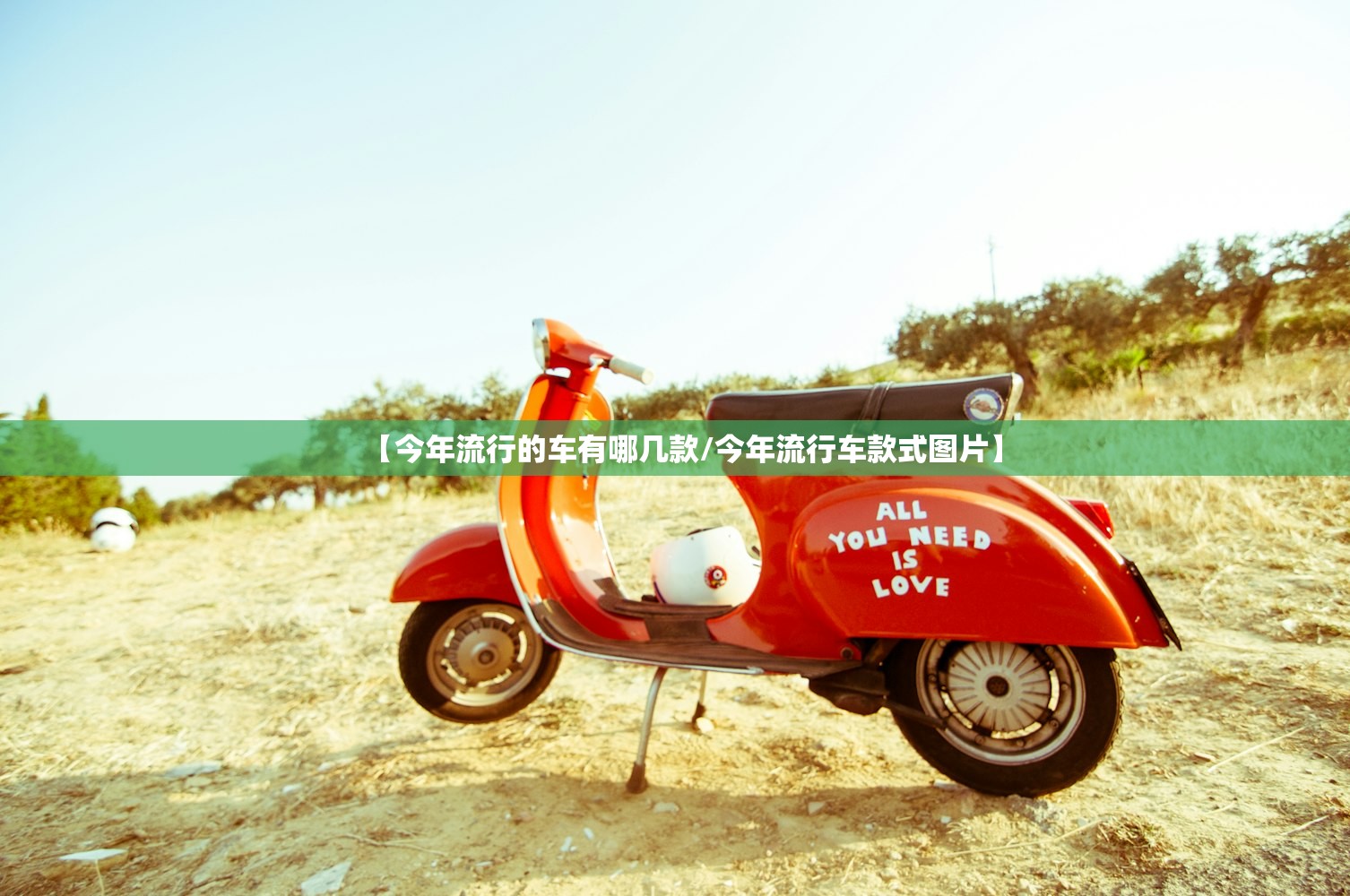 【今年流行的车有哪几款/今年流行车款式图片】 【今年流行的车有哪几款/今年流行车款式图片】