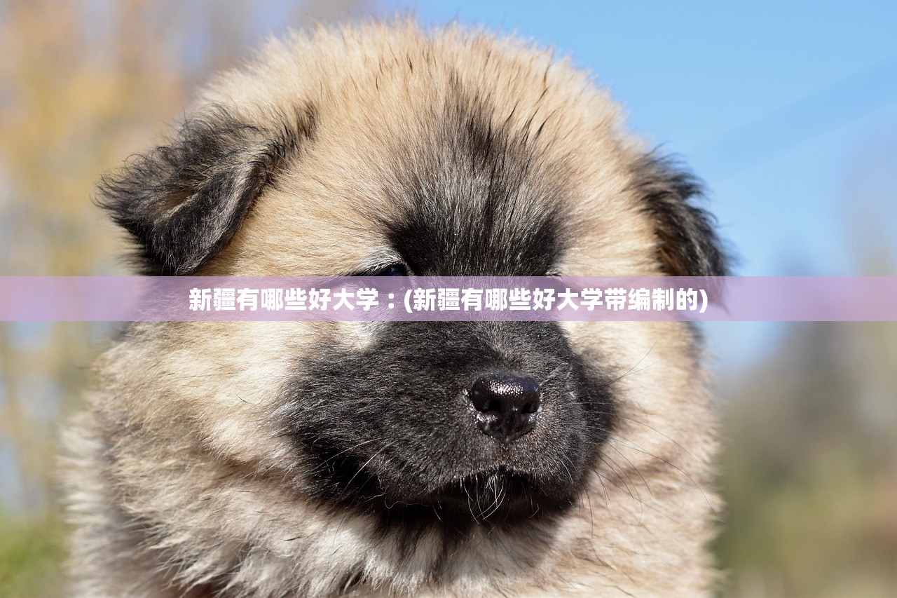 新疆有哪些好大学︰(新疆有哪些好大学带编制的)