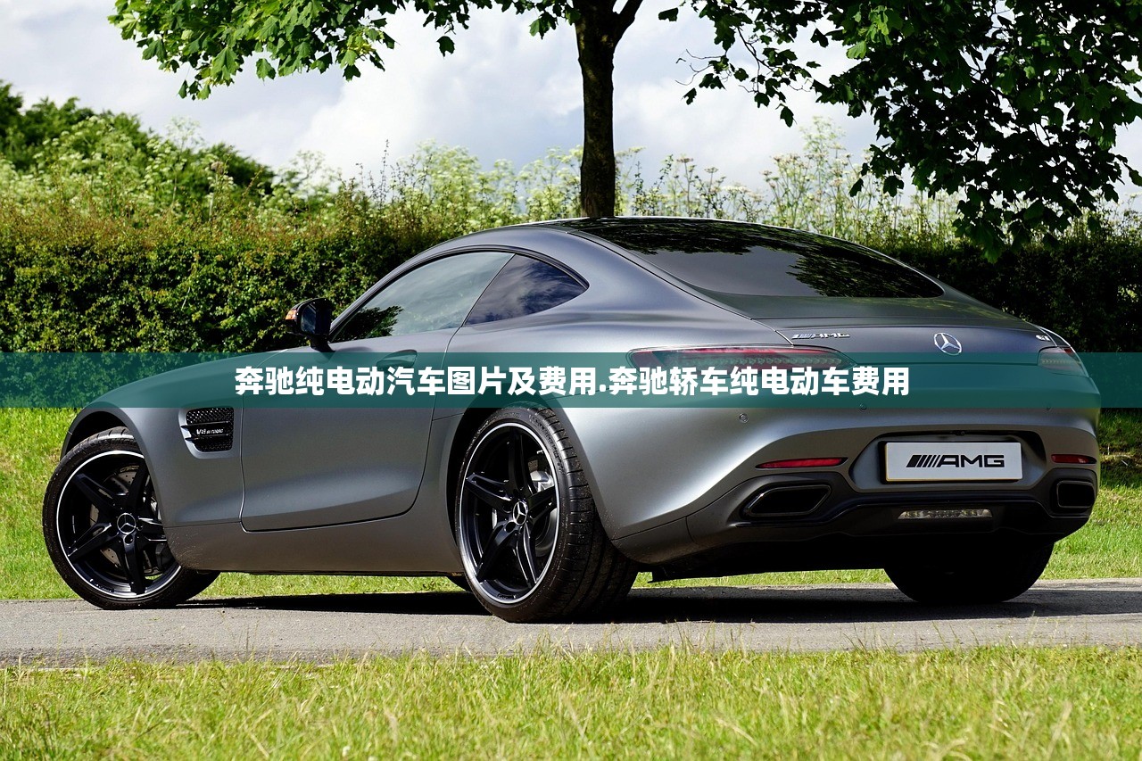 奔驰纯电动汽车图片及费用.奔驰轿车纯电动车费用 奔驰纯电动汽车图片及费用.奔驰轿车纯电动车费用