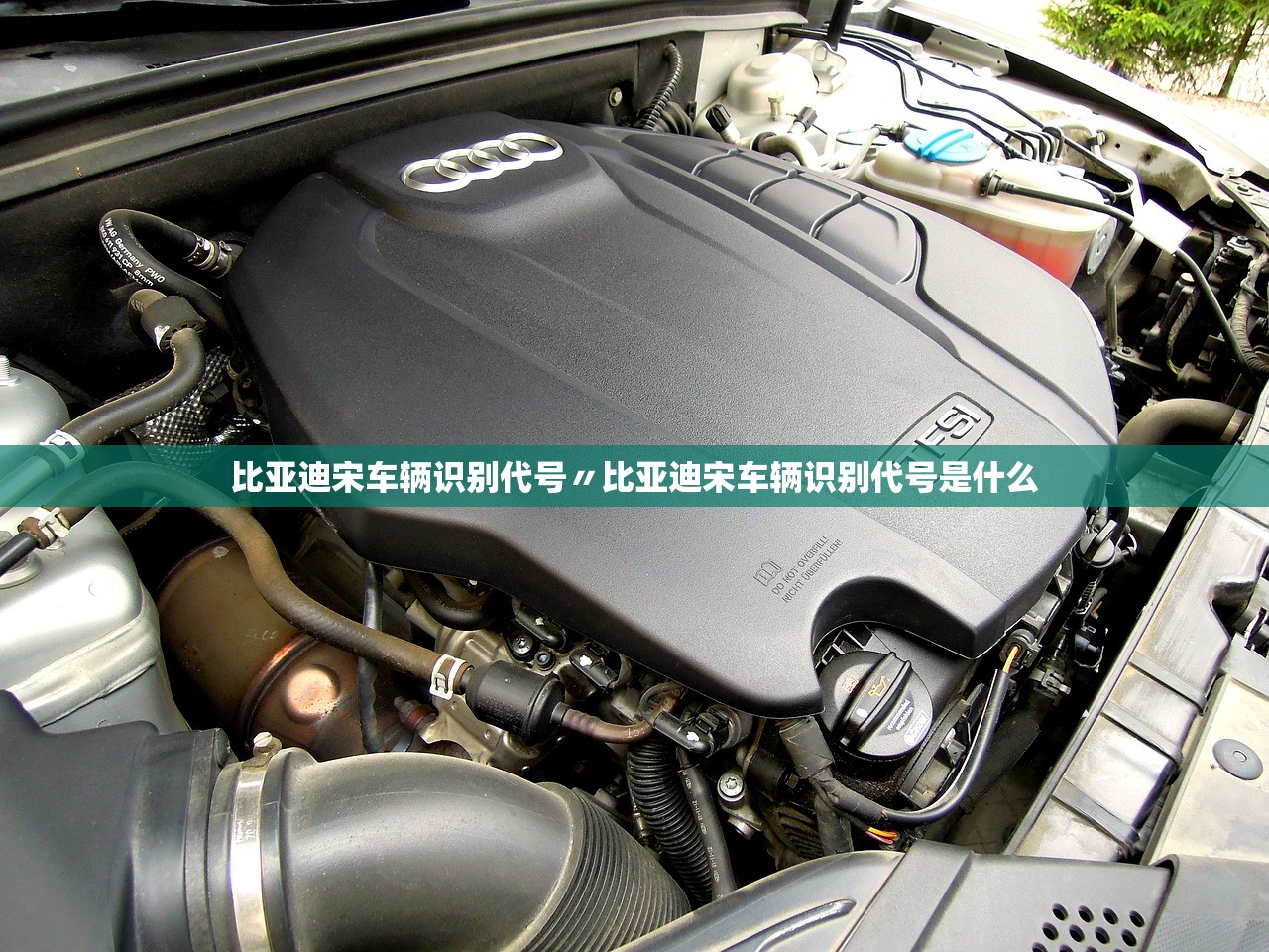 比亚迪宋车辆识别代号〃比亚迪宋车辆识别代号是什么