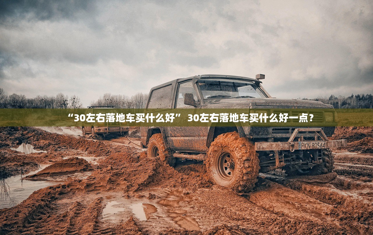 “30左右落地车买什么好	” 30左右落地车买什么好一点？