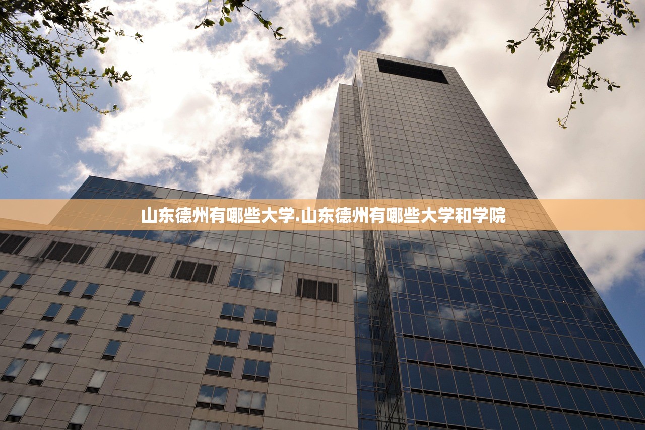 山东德州有哪些大学.山东德州有哪些大学和学院