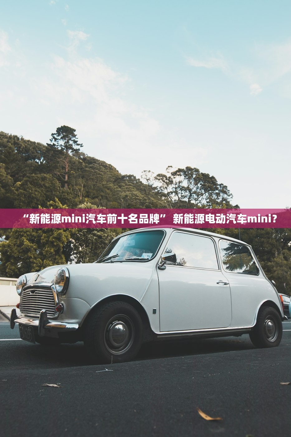 “新能源mini汽车前十名品牌	” 新能源电动汽车mini？