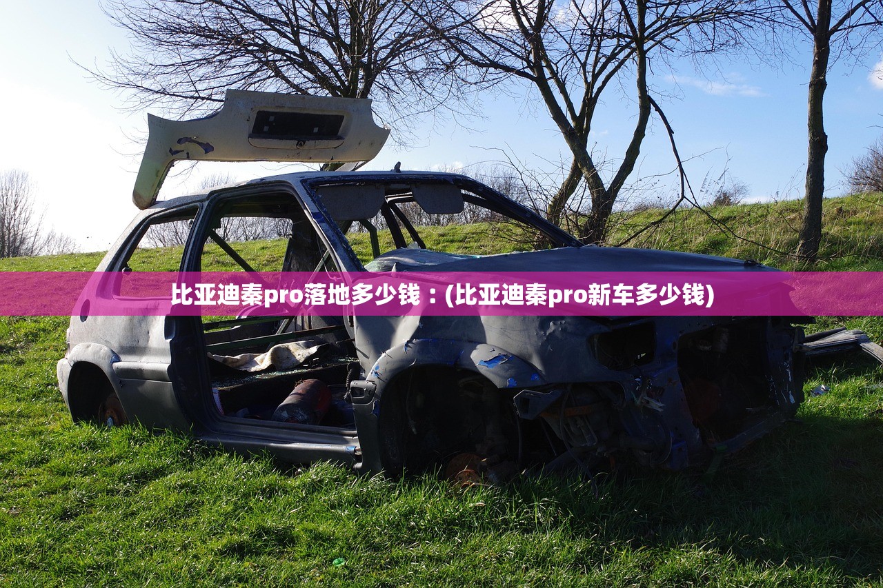 比亚迪秦pro落地多少钱︰(比亚迪秦pro新车多少钱) 比亚迪秦pro落地多少钱︰(比亚迪秦pro新车多少钱)