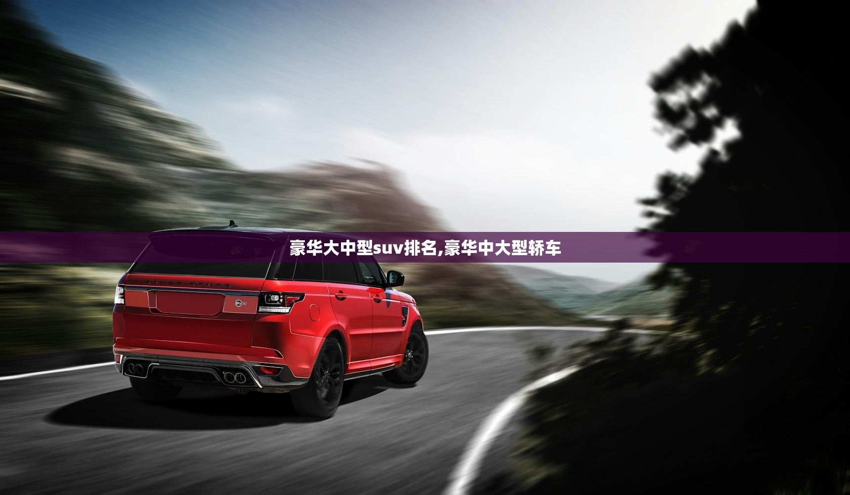 豪华大中型suv排名,豪华中大型轿车