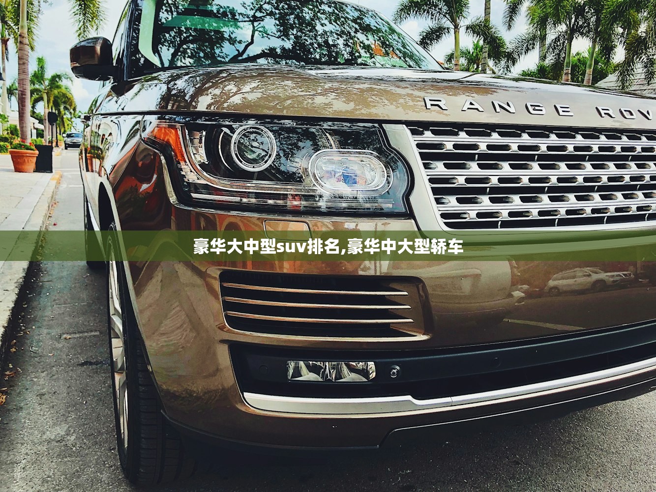 豪华大中型suv排名,豪华中大型轿车