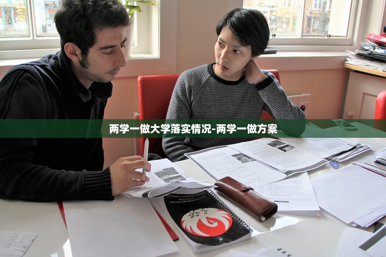 两学一做大学落实情况-两学一做方案