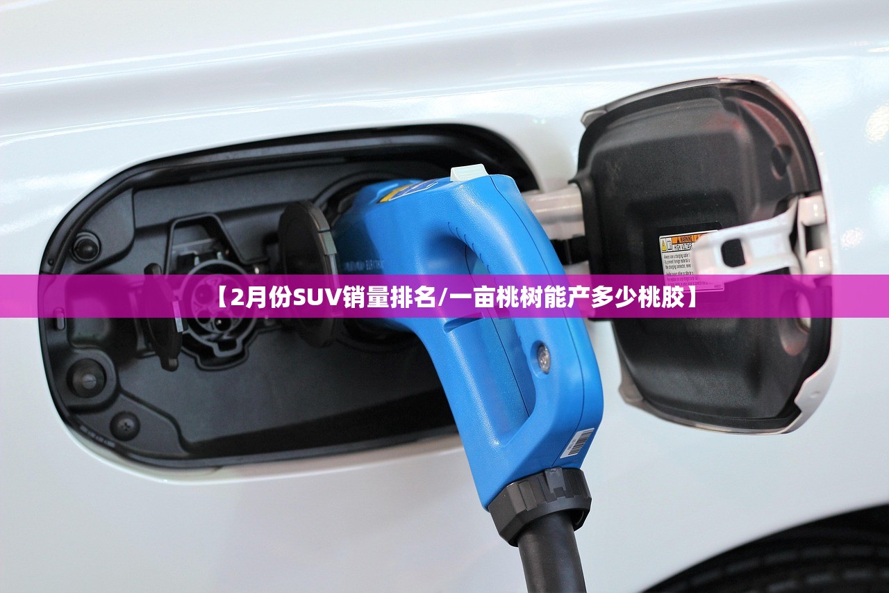 【2月份SUV销量排名/一亩桃树能产多少桃胶】 【2月份SUV销量排名/一亩桃树能产多少桃胶】