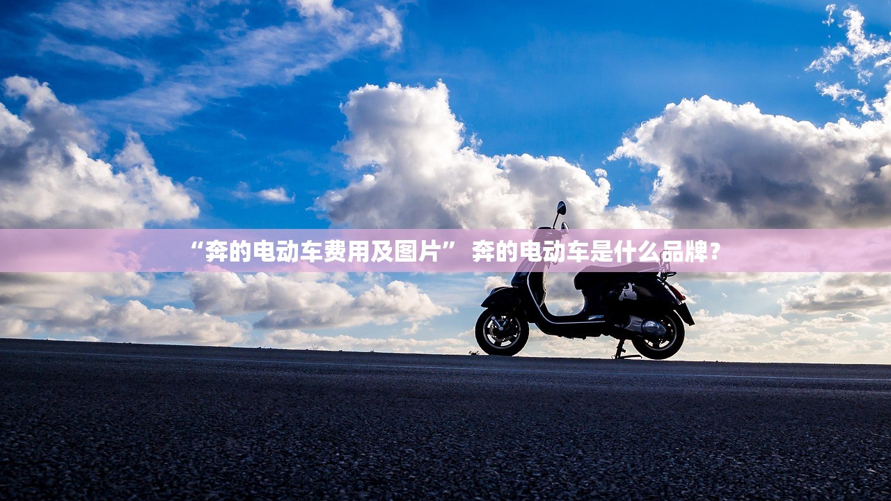 “奔的电动车费用及图片	” 奔的电动车是什么品牌？