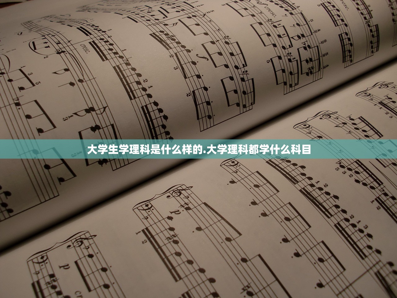 大学生学理科是什么样的.大学理科都学什么科目 大学生学理科是什么样的.大学理科都学什么科目