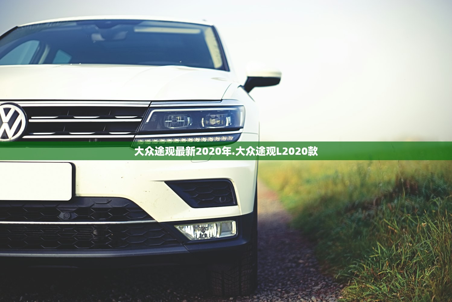 大众途观最新2020年.大众途观L2020款 大众途观最新2020年.大众途观L2020款