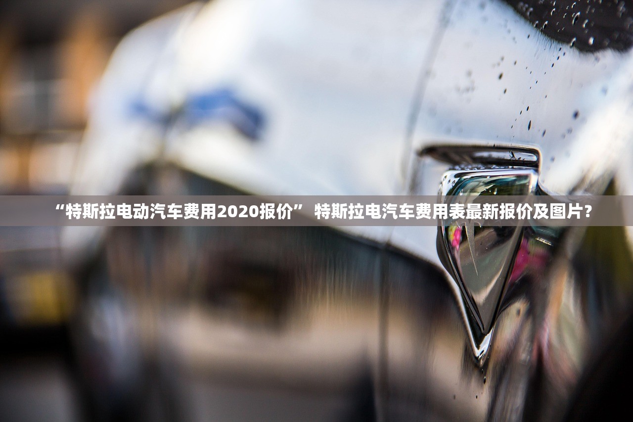 “特斯拉电动汽车费用2020报价” 特斯拉电汽车费用表最新报价及图片？