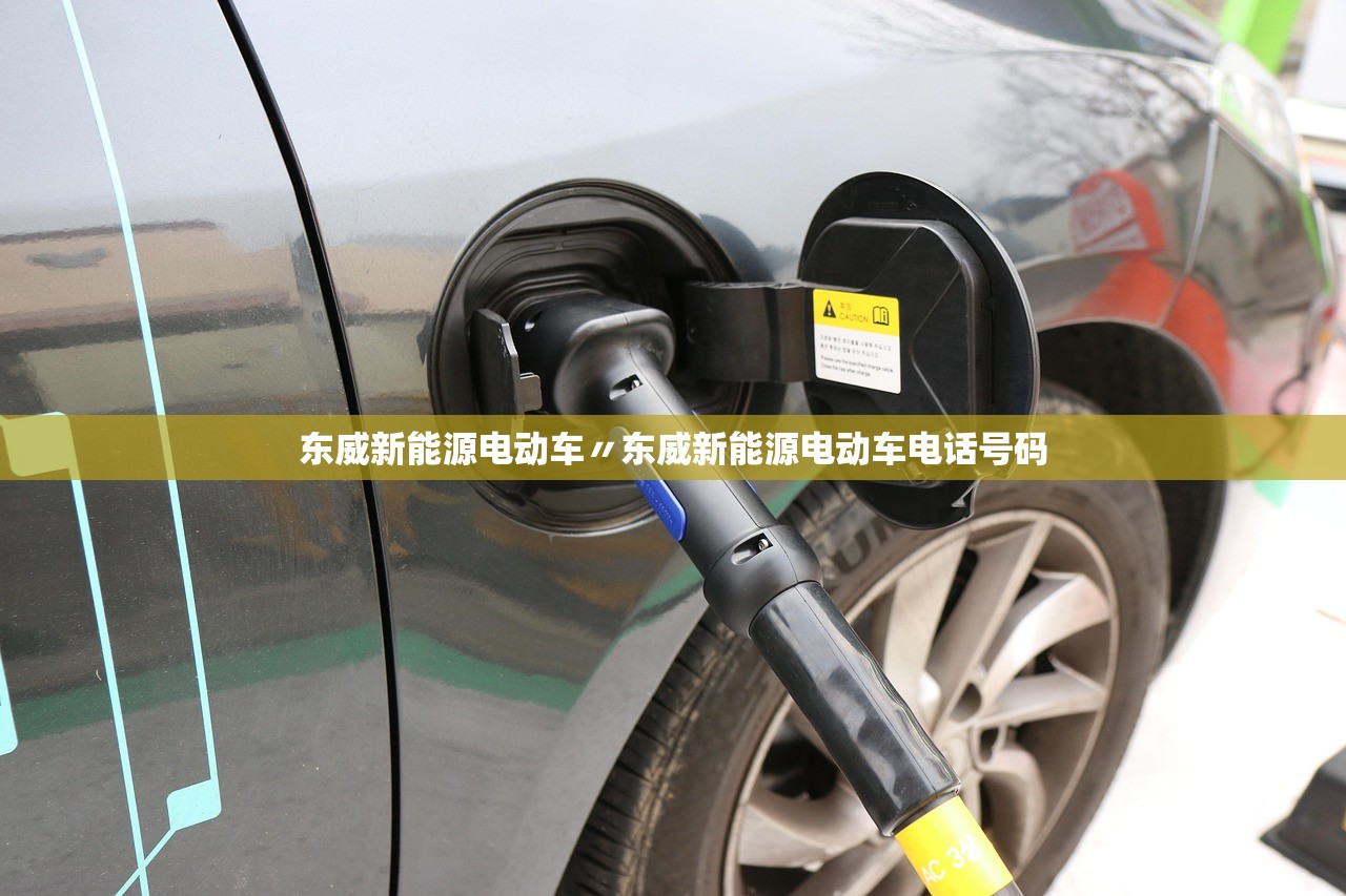东威新能源电动车〃东威新能源电动车电话号码 东威新能源电动车〃东威新能源电动车电话号码