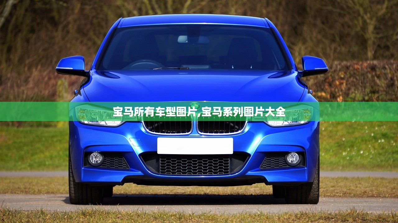宝马所有车型图片,宝马系列图片大全