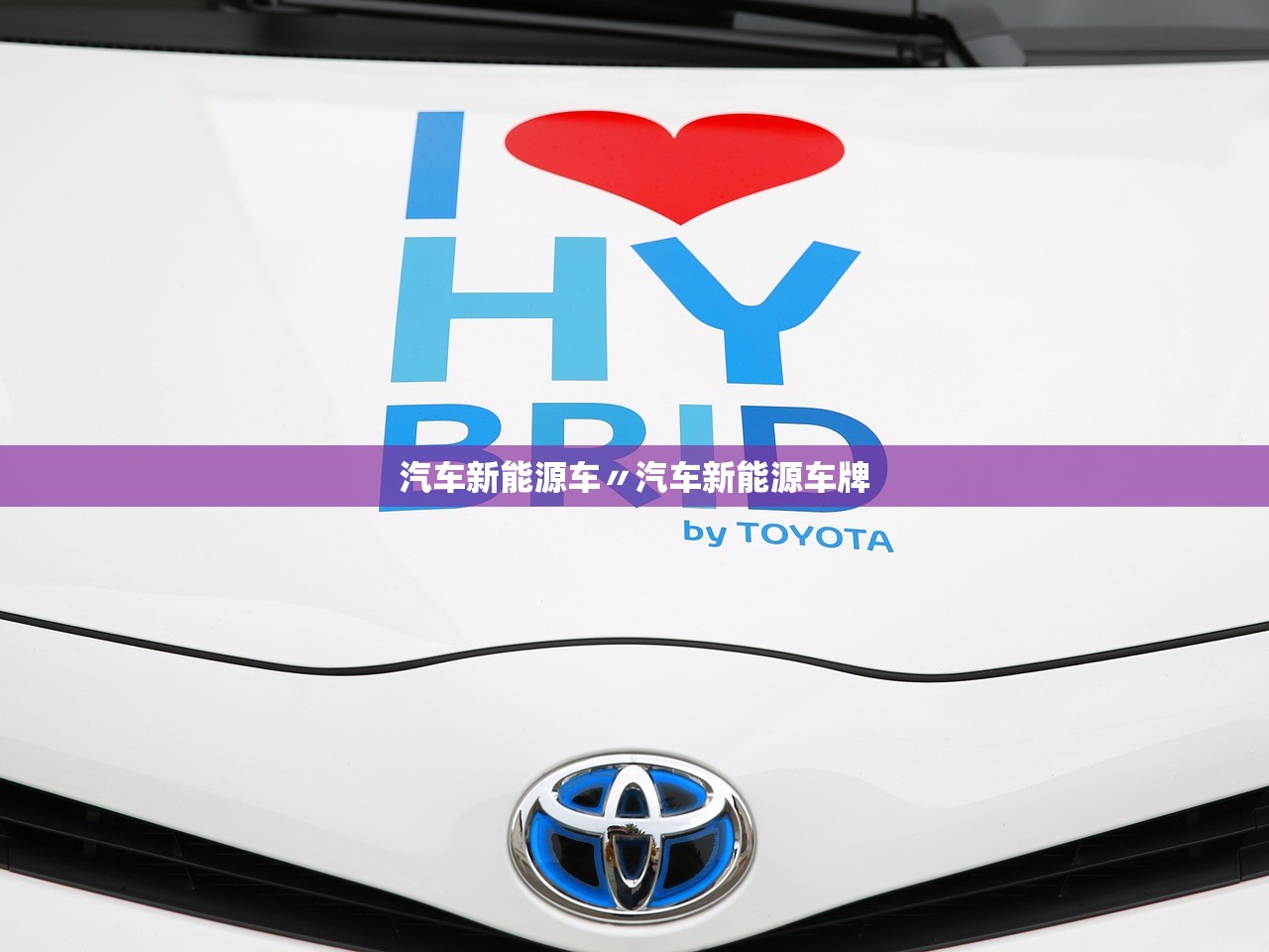 汽车新能源车〃汽车新能源车牌