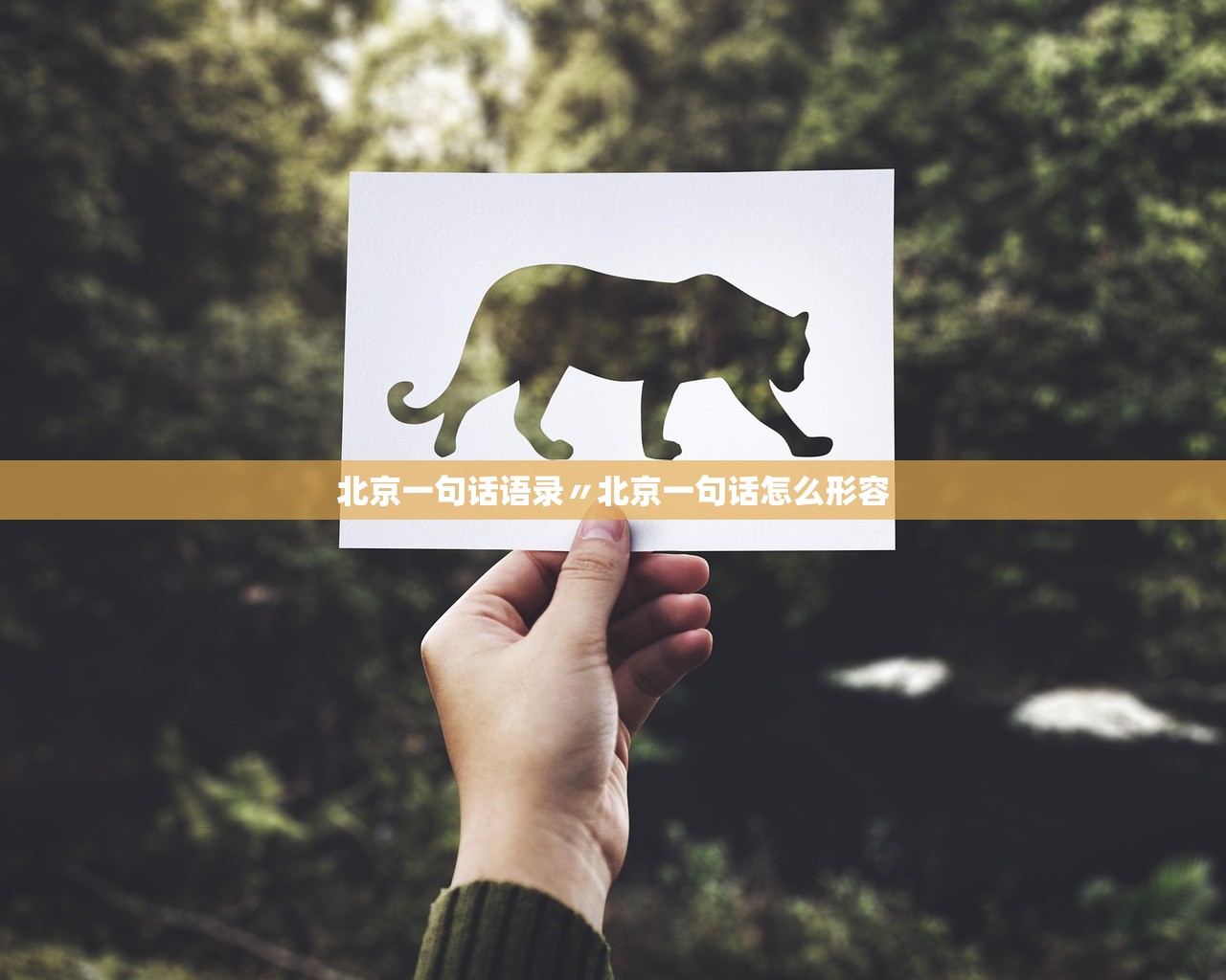 北京一句话语录〃北京一句话怎么形容