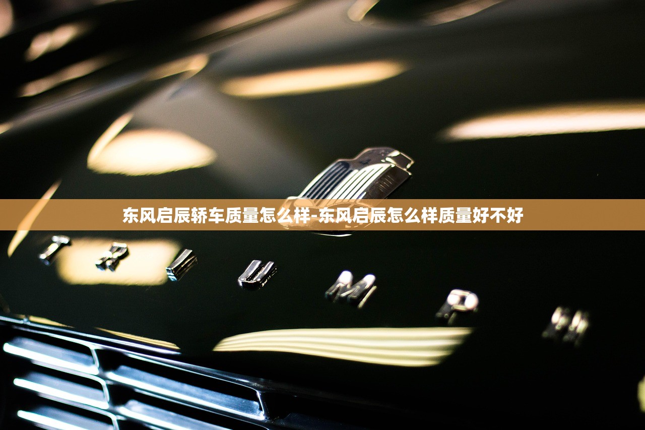 东风启辰轿车质量怎么样-东风启辰怎么样质量好不好