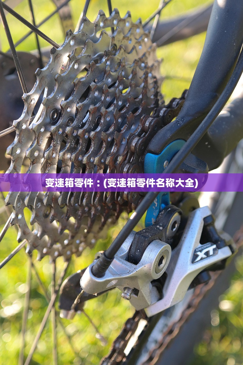 变速箱零件︰(变速箱零件名称大全)