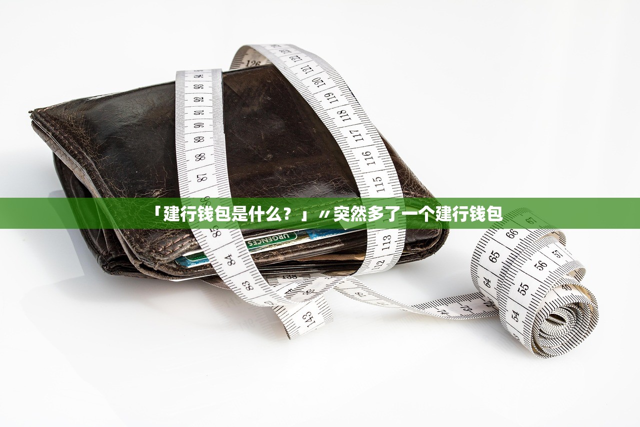 「建行钱包是什么?」〃突然多了一个建行钱包 「建行钱包是什么?」〃突然多了一个建行钱包