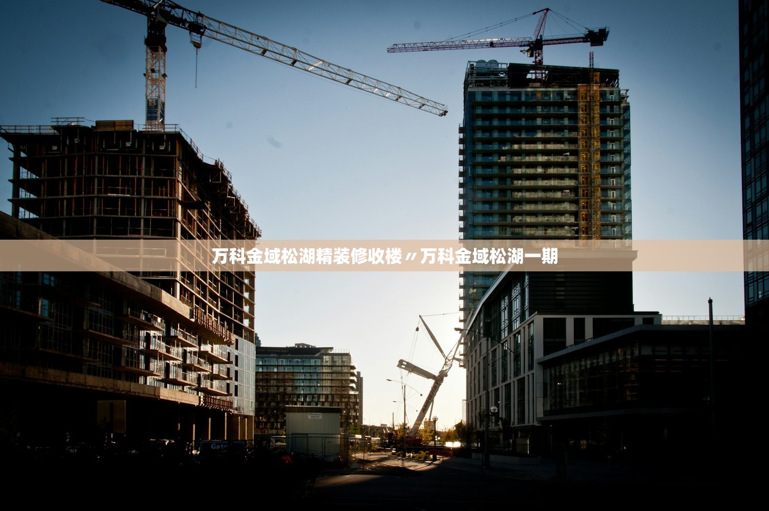 万科金域松湖精装修收楼〃万科金域松湖一期
