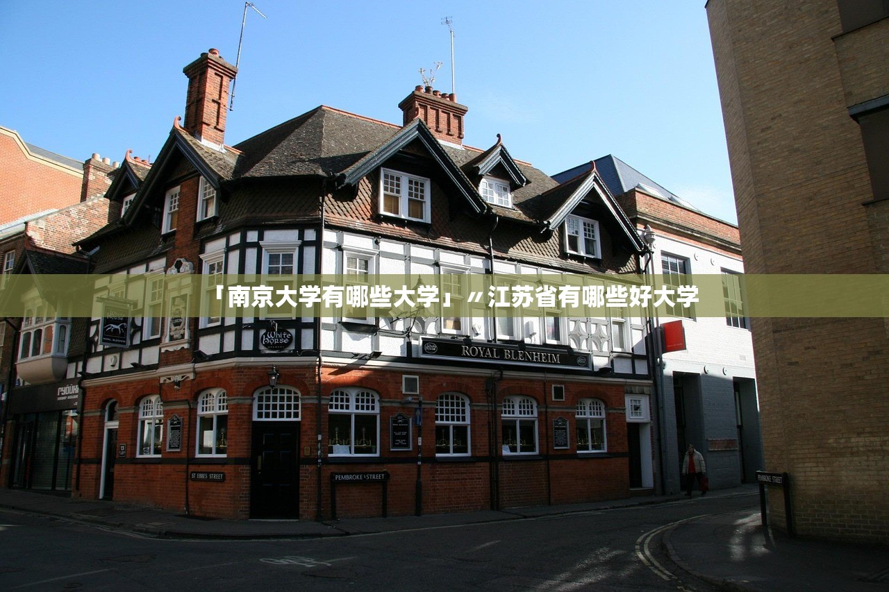 「南京大学有哪些大学」〃江苏省有哪些好大学