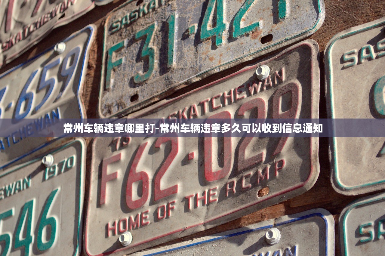 常州车辆违章哪里打-常州车辆违章多久可以收到信息通知 常州车辆违章哪里打-常州车辆违章多久可以收到信息通知