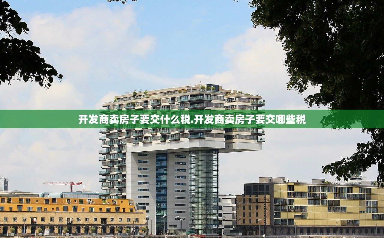 开发商卖房子要交什么税.开发商卖房子要交哪些税 开发商卖房子要交什么税.开发商卖房子要交哪些税