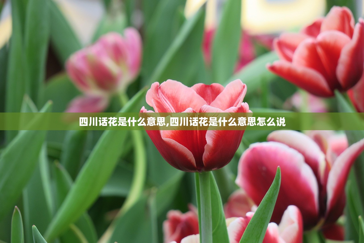 四川话花是什么意思,四川话花是什么意思怎么说 四川话花是什么意思,四川话花是什么意思怎么说
